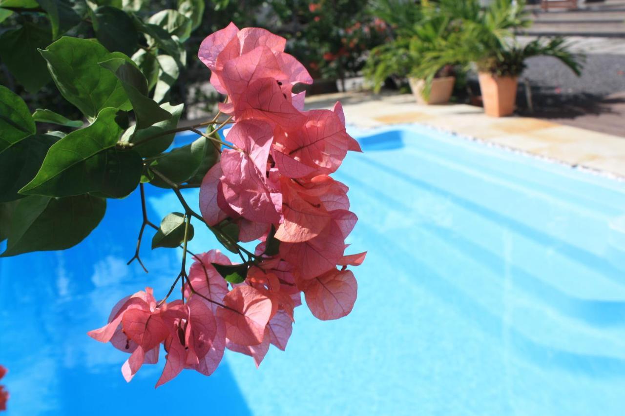 Roi Holiday Stay Grand Baie Exterior photo